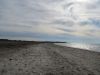 Strand IV